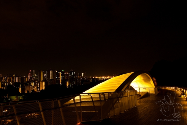 dating places in singapore at night